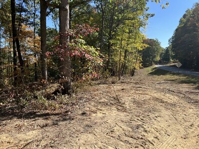 0 Highway 232 unit 128207, Stewart, TN 37175 - photo 2