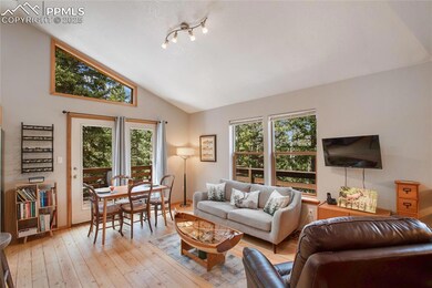 565 Ridge Rd, Divide, CO 80814 - photo 4