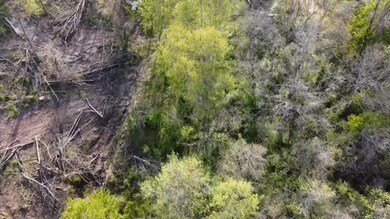 3FB9A2A9-2552-4AEF-829F-96057ABF748C