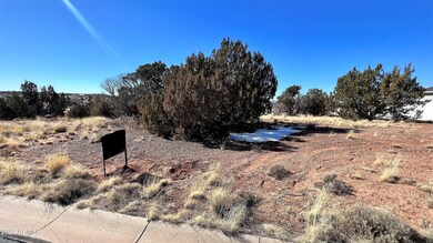 TBD S Pioneer Trail -- unit 160, Snowflake, AZ 85937 - photo 3