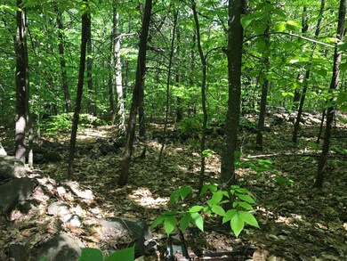 312 Asbury Ln, Acton, ME 04001 - photo 4