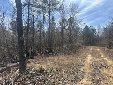 0 Fisher Ln, Shiloh, TN 38376 - photo 5