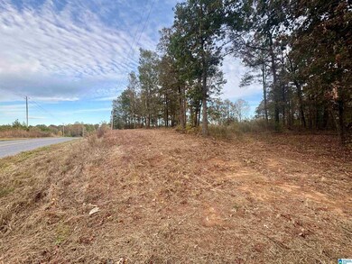 0 County Road 82, Newell, AL 36280 - photo 6