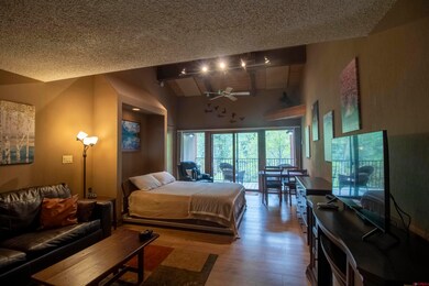 961 N Tamarron Dr unit 555, Durango, CO 81301 - photo 2