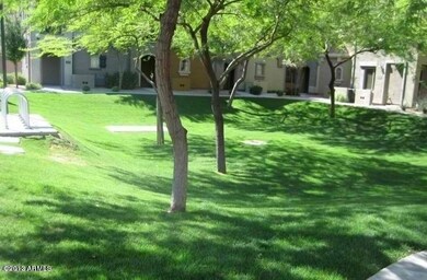villagio grassy area