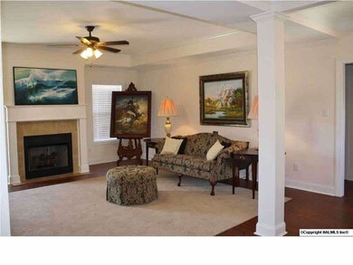 Spacious Family Rm w/Gaslog Fireplace and Trey Ceiling