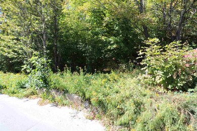 743 Western and First Ave unit Map 118 Lots 71, 63, Berlin, NH 03570 - photo 7