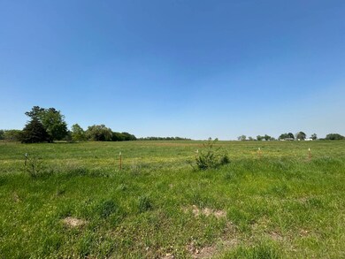 TBD Highway 252, Charleston, AR 72933 - photo 5