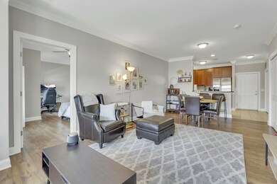 Living Room and Kitchen