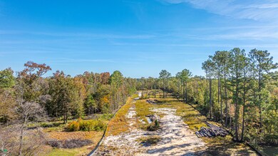 0 Limehouse Ln unit Lots 2-5, Ladson, SC 29456 - photo 5