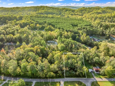 - Stevens Cir, Rockwood, TN 37854 - photo 6