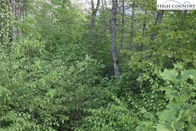 TBD Morgan's Ridge Drive #9 (Morgan's Ridge In Echota), Banner Elk, NC 28604 - photo 4