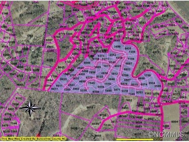 49 Timber Moss Dr, Asheville, NC 28804 - photo 3