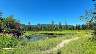 Nhn Trout Creek Rd, Trout Creek, MT 59874 - photo 4
