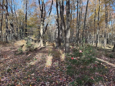 00 Shaffer Run Rd unit LotWP003, Oil City, PA 16301 - photo 4