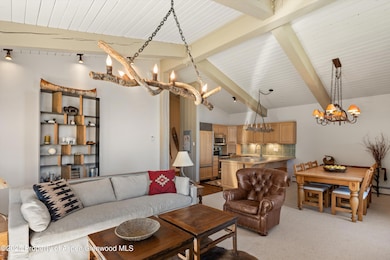 855 Carriage Way unit Slope 303, Snowmass Village, CO 81615 - photo 6