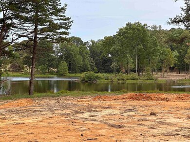 168 Stagecoach Trail, Cabot, AR 72023 - photo 5