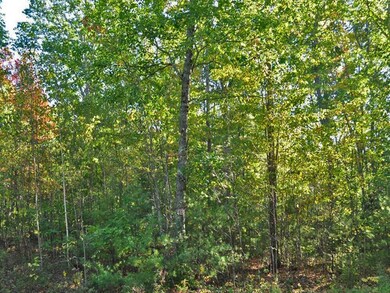 Generic Woods-4