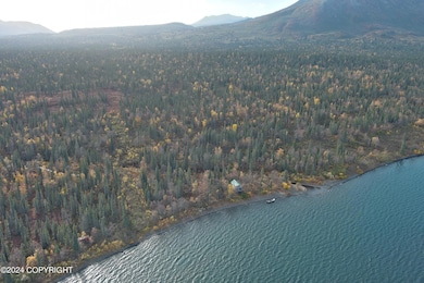 L2B4 Black Bear Rd, Aleknagik, AK 99555 - photo 4