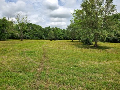 0 County Road 461 Off Nar, Brazoria, TX 77422 - photo 4