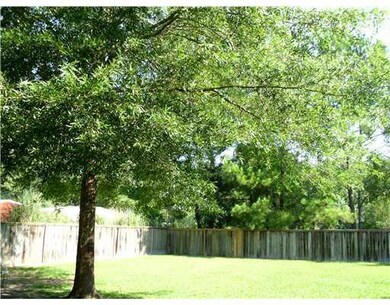 Backyard.
