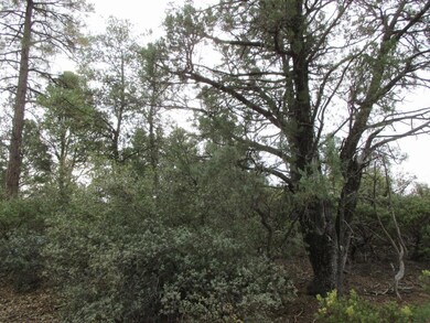 1404 E Graham Ranch Trail, Payson, AZ 85541 - photo 6