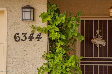 6344 E Ivy St, Mesa, AZ 85205 - photo 4