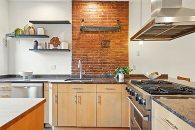 220 W Springfield St unit 4, Boston, MA 02118 - photo 5