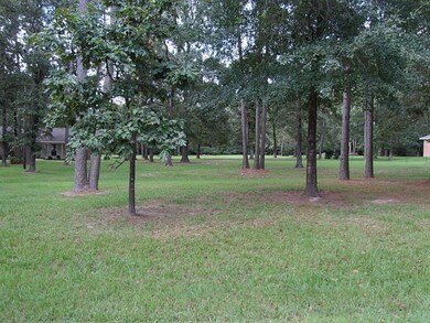 Lot 6 Ridgewood Dr, Magnolia, TX 77355 - photo 2