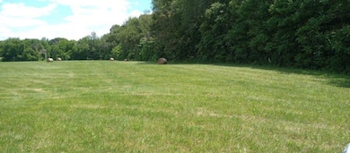 0 Vantrease Rd, Franklin, KY 42134 - photo 2