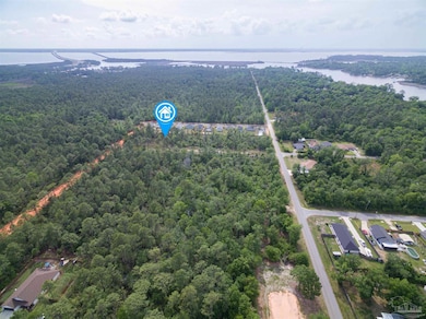 Lot 9 N 11th Ave, Avalon, FL 32583 - photo 5