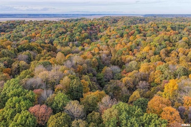 00 Eldred Rd, Richwood Township, IL 62031 - photo 6