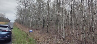 IMG_20240410_112147015