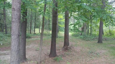 2648 W 1st St, Baldwin, MI 49304 - photo 4