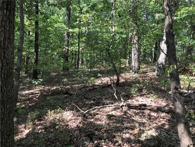 0 Leland Ln unit 1185013, Bella Vista, AR 72715 - photo 4