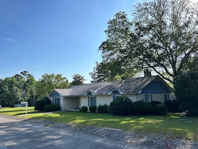 833 Smallee St, Alma, GA 31510 - photo 3