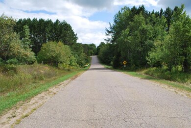ON Cth P unit 37.90 Ac., Argonne, WI 54511 - photo 6