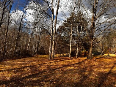 645 Avendale Rd, Callands, VA 24530 - photo 5