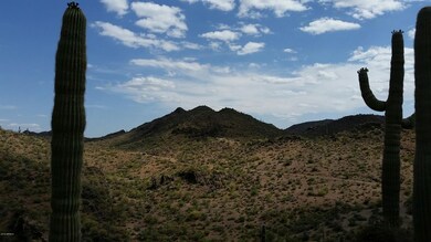 20150523_151136_resized_1