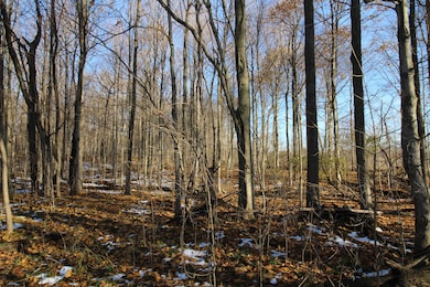 58573 Oak Grove Rd, Cassopolis, MI 49031 - photo 6