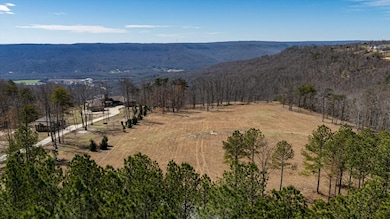 0 Raulston Falls Rd unit RTC3049508, Jasper, TN 37347 - photo 6