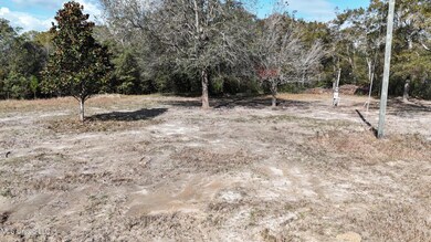 11925 Roberts Chapel Rd, Moss Point, MS 39562 - photo 4