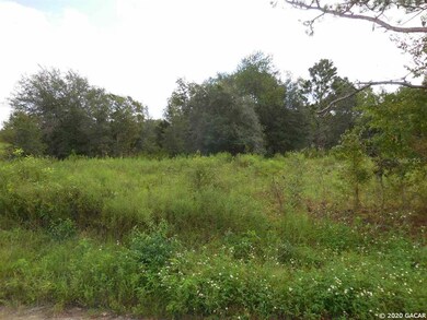 21630 SE 71st Place, Morriston, FL 32668 - photo 3