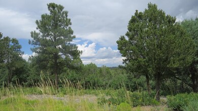 IMG_6782