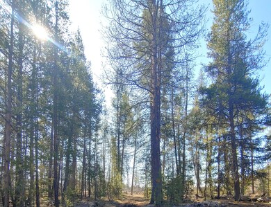 0412251010_HDR (3).