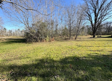 TBD 302xx 480th St, Palisade, MN 56469 - photo 3