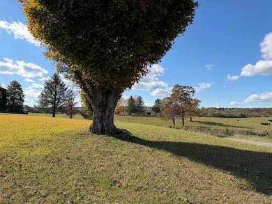 328 County Road 373, Athens, TN 37303 - photo 4