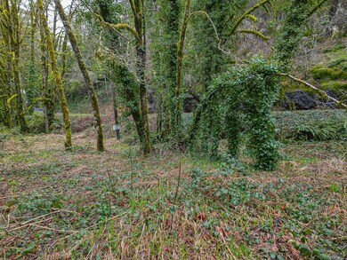Lot to Build your Dream Home!