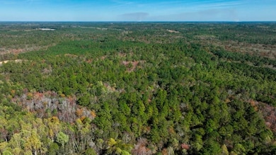 0 Twin Forks Rd unit 25651129, Statesboro, GA 30458 - photo 4