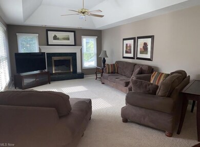 525 Walnut Ridge Trail, Aurora, OH 44202 - photo 5